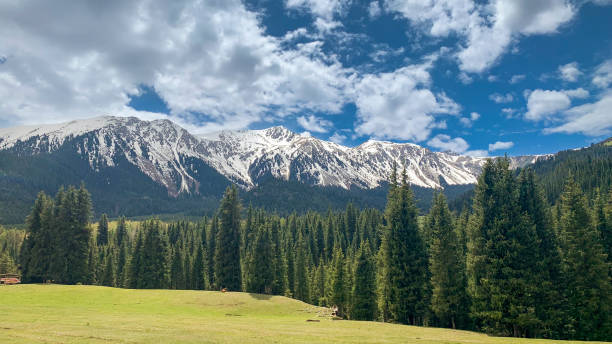 istock Majestic rocky peaks covered with snow and evergreen trees 1492567553