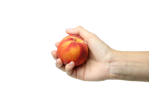 Female hand holds peach fruit, isolated on white background