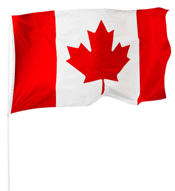 istock Canadian Flag isolated on white 1492571374
