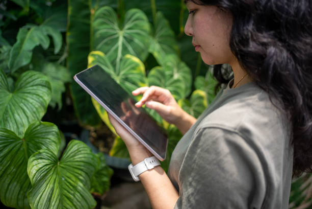 istock A young woman using a digital tablet while inspecting crops on a farm. Doing what's best for the quality growth of her produce. 1492573257