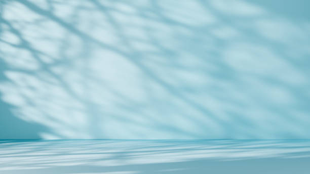 istock Abstract blue background with branch shadows and sunlight. Backdrop for product presentation. 1492573274