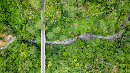 Aerial view of amazing bridge in the middle of a jungle.