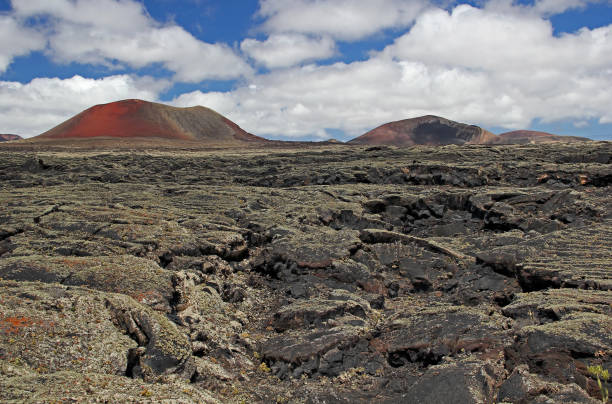 istock Volcanic landscape, Lanzarote, Spain 1492577146