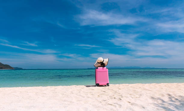 rosa del equipaje y sombrero blanco con árboles plam en la playa- concepto de viaje de verano - lost beach fotografías e imágenes de stock