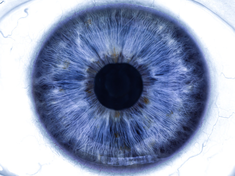 human eye iris close up detail