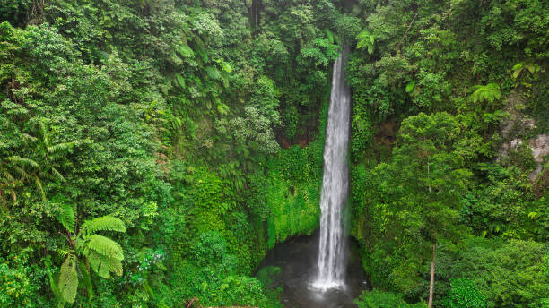istock Most amazing waterfall in Bali - Indonesia. 1492579737