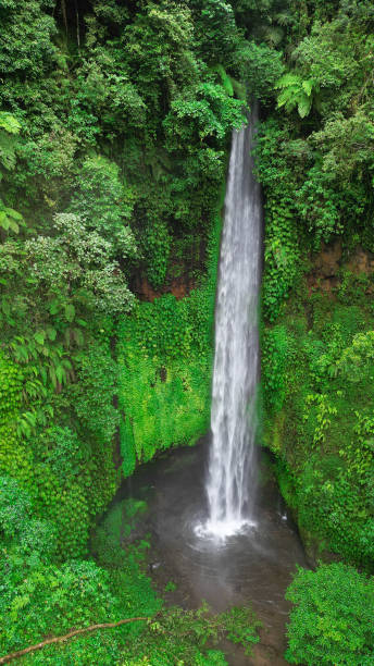 istock Most amazing waterfall in Bali - Indonesia. 1492579764