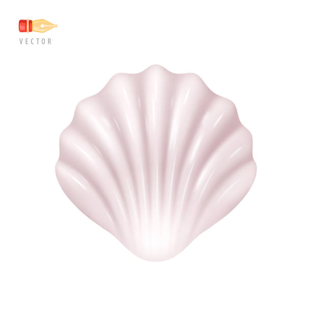 istock Cute Seashell. Funny Sea Animal. Colorful Tropical Conch Icon. Cartoon Shellfish Symbol of Summer Concept. Vector Illustration Object isolated on white background. Realistic 3D vector 1492585872