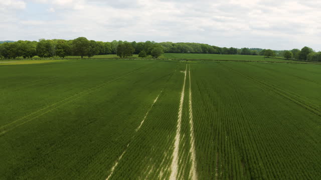 Modern countryside landscape. Aerial view