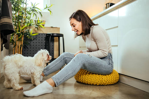 istock Happy woman and her dog 1492586381