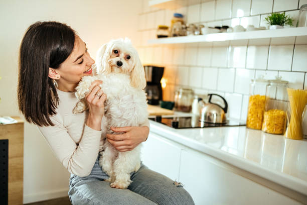 istock Happy woman and her dog 1492586428