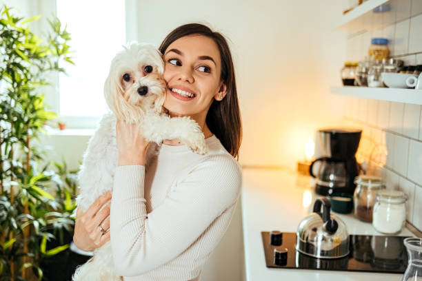 istock Love between a dog and a woman 1492586808