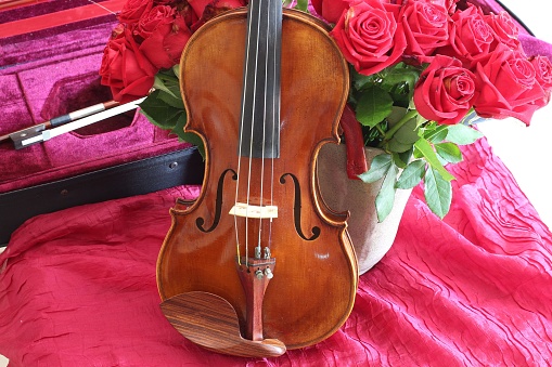 Violin, bows and roses on a red background.