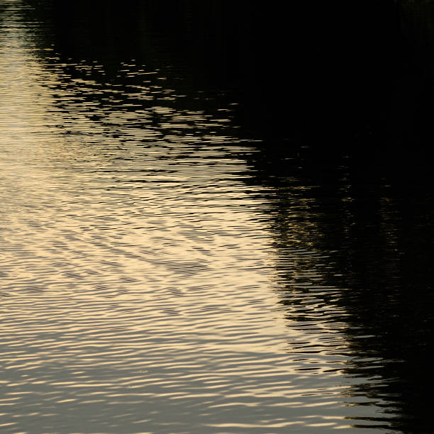 istock Dark shadows and waves on the surface of the water. 1492587525