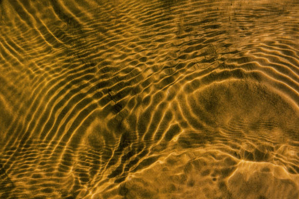 istock Waves on the surface of the water in the river. 1492587539