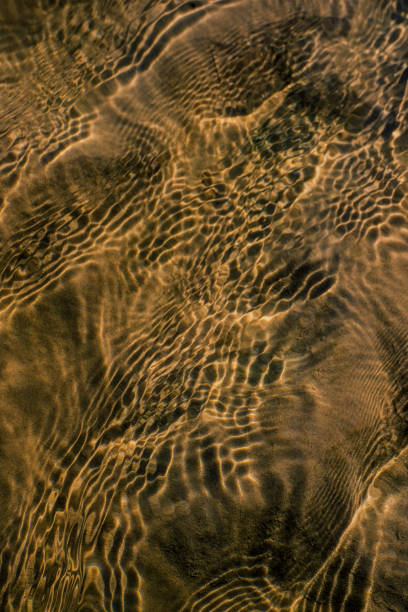 istock Waves on the surface of the water in the river. 1492587540