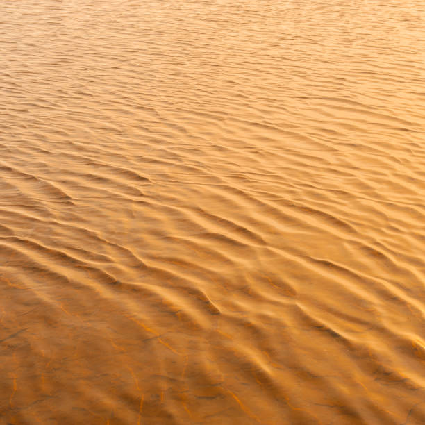 istock Waves on the water surface in shallow water. 1492587580