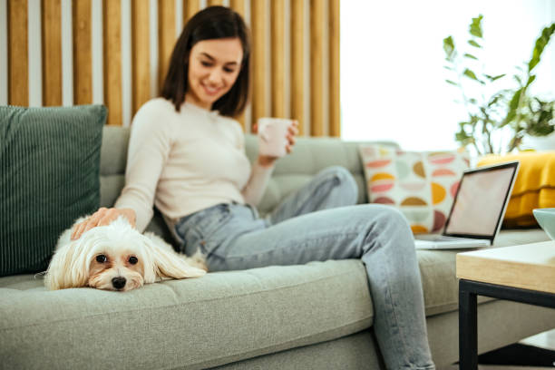 istock I love when we are together 1492589706