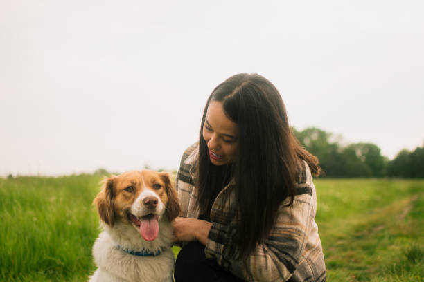 istock Spending day with dog in nature 1492592115