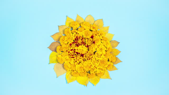 A large flower resembling a sunflower. The concept of the arrival of autumn.