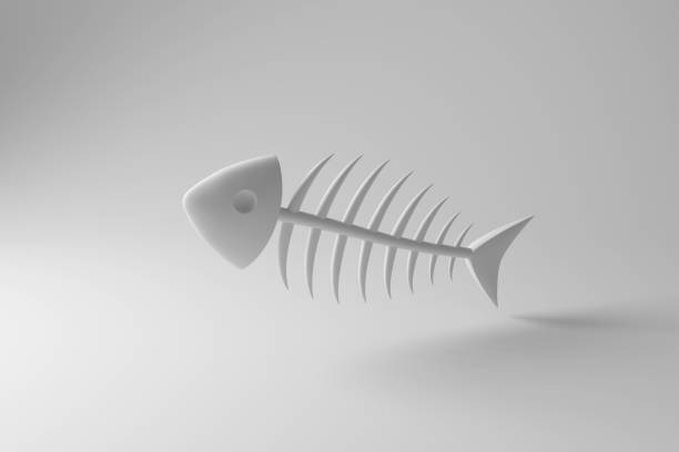 Stylised white fishbone floating in mid air casting shadow on white background in greyscale monochrome. Illustration of the concept of kitchen waste and leftovers