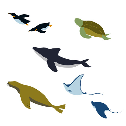 Illustration set of creatures living in an aquarium