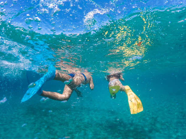 istock Children having scuba and flipper diving in the sea 1492597410