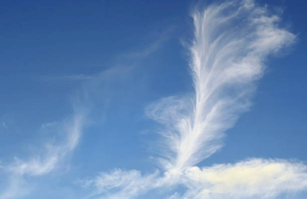 Wispy vertical Cirrus Clouds in a bright blue summer sky
