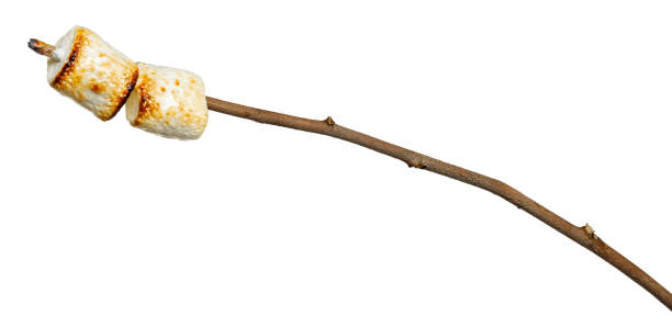 istock two toasted marshmallows on wooden stick isolated on white 1492601836