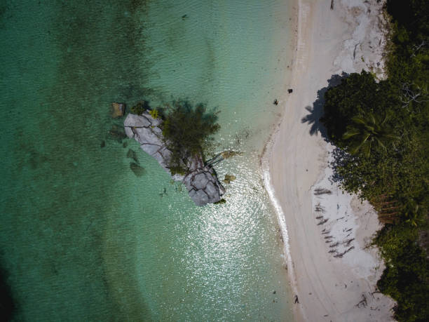 istock Daftel Beach in Kei Island, Maluku 1492602381