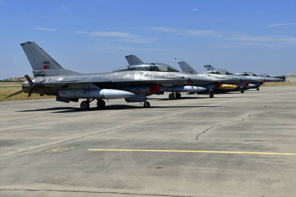 F-16 Fighting Falcons, twin- and single-seats - Portuguese Air Force, Beja Airport, Portugal stock photo