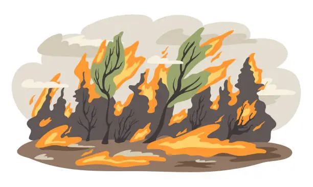 Vector illustration of Forest fire. Trees in flame, dry branches, ground in ash.