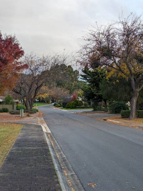 istock Autumn suburban street view 1492603103