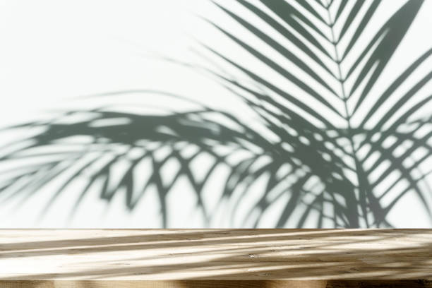istock Table shadow background. Wooden table and white empty wall with plant shadows. 1492604101