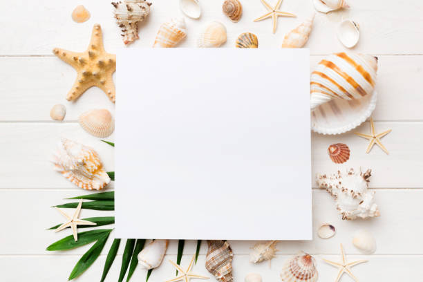 istock Summer time concept with blank greeting card and blank white paper on colored background. Seashells from ocean shore in the shape of frame separated with space for text top view 1492605074