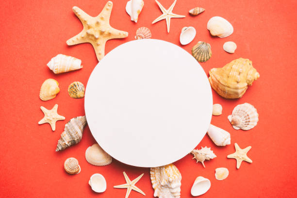 istock Summer time concept with blank greeting card and blank white paper on colored background. Seashells from ocean shore in the shape of frame separated with space for text top view 1492605115