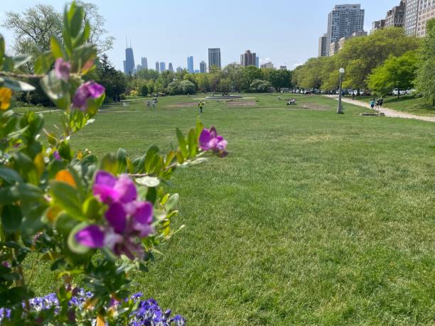 istock Lincoln park flowers 1492605822