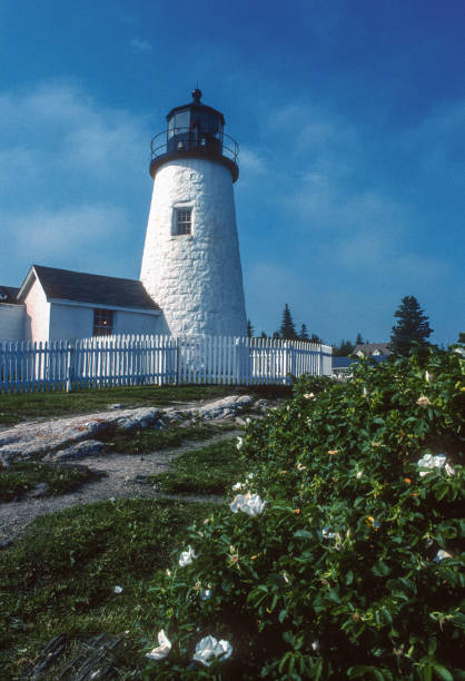 istock Pemaquid Lighthouse Close-up with Flowers - 2006 1492613206