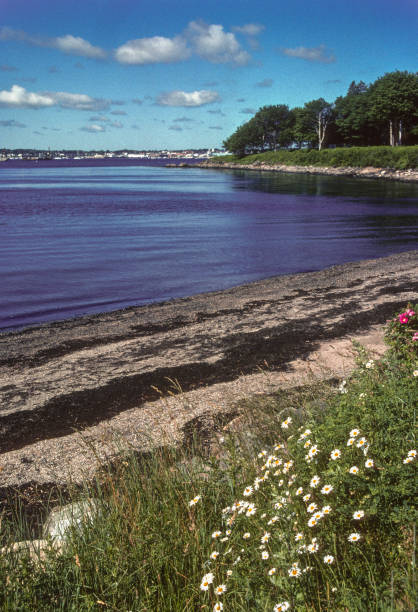 istock Rockland Maine - Glen Cove Vertical - 2006 1492613657