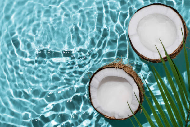 istock Summer background with coconuts on water background with water splashes. 1492613823