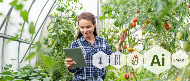istock Smart farm of cultivating organic vegetables with usage Ai technology. 1492618777