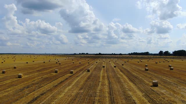 Camera span across the field with hay bales all over it, harvesting season, 4k