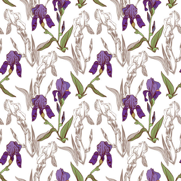 Free iris pattern stock photos. Download the best free iris pattern ...