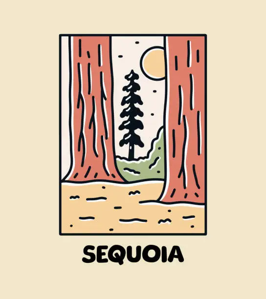 Vector illustration of Sequoia Redwood National Park mono line t shirt vector graphic illustration