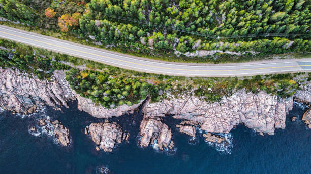 Bird’s-eye drone shot of coastal highway with adjacent forrest