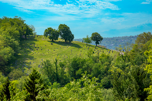 A distant view of a hillside cemetery.