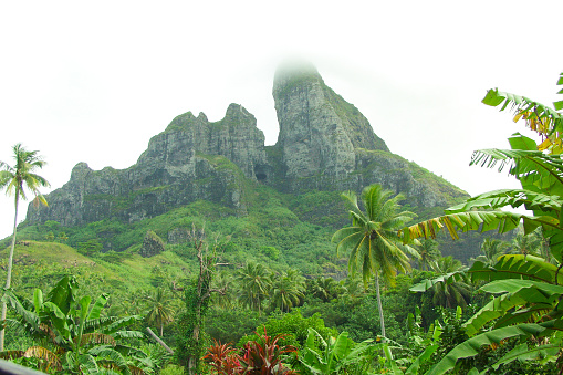 Bora Bora, French Polynesia - 2001: A vintage photograph of Mount Otemanu and the lush tropical rainforest palm trees on the island of Bora Bora, French Polynesia, as shot on the rare Canon EOS 1N - Kodak DCS 520, one of the first professional digital cameras.