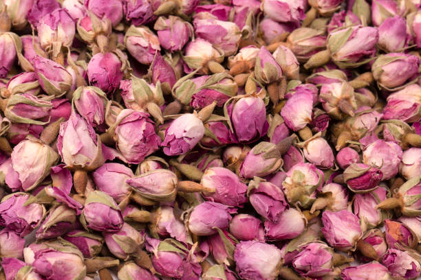 istock Dry tea roses isolated on white background. 1492626420