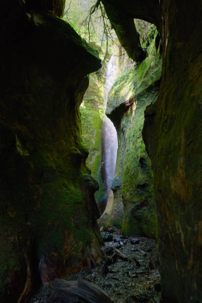 istock Sombrio Beach Waterfall British Columbia 1492630937