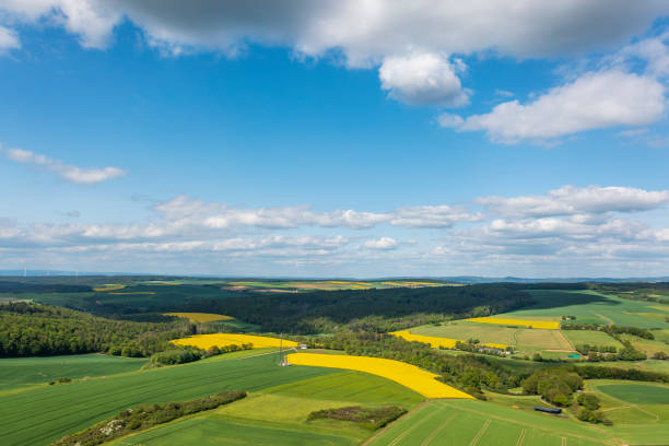 istock Blooming rapeseed fields in the Taunus/Germany 1492630986